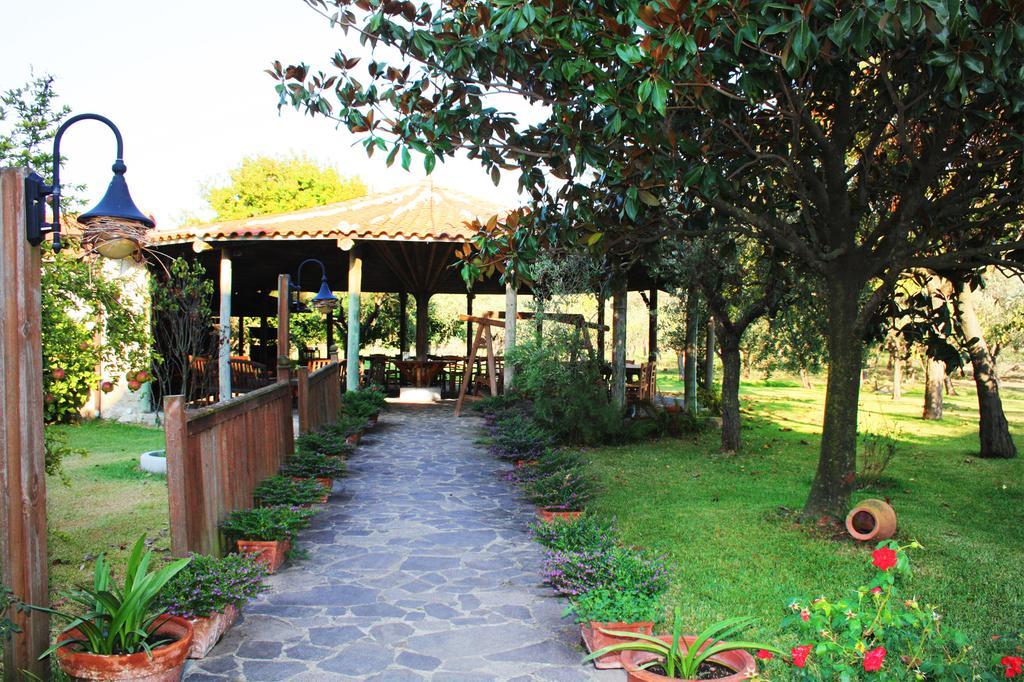 Iscairia Country House Ascea Exterior photo